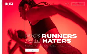 Precision run website preview