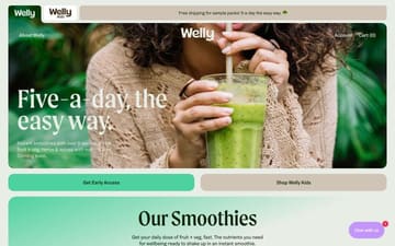 Welly website preview