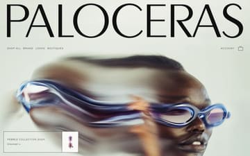 Paloceras website preview
