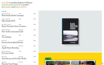 Lynn Sohn website preview