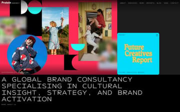 Protein Agency website preview