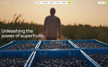 Agrovision website preview