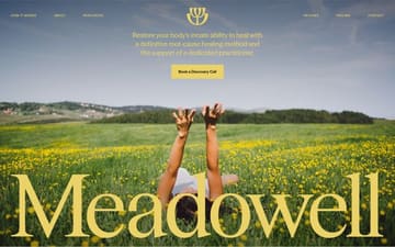 Meadowell website preview