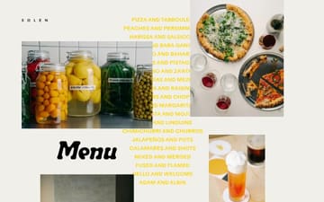 Solen website preview