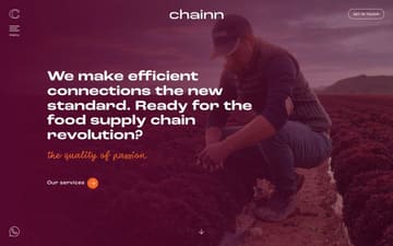 Chainn website preview