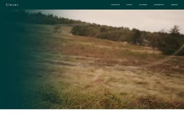 Clever.dk website preview