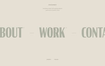Steven Hanley website preview