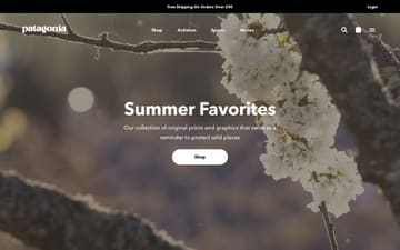 Patagonia website preview