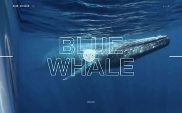 Save whales website preview