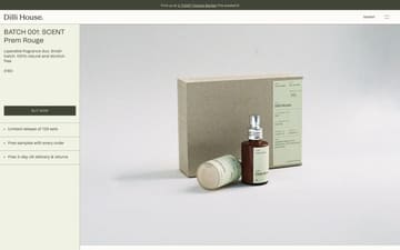 Dilli House website preview