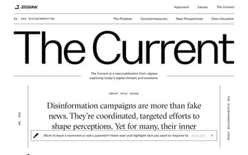 The disinformation issue website preview