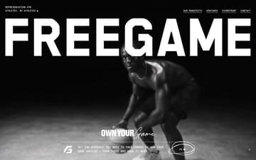 Freegame website preview