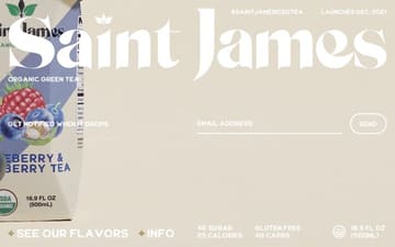 Saint James website preview