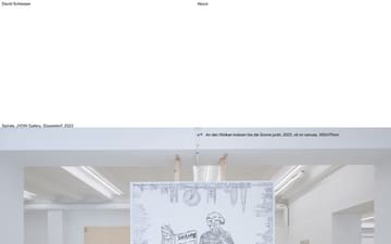 David Schiesser website preview