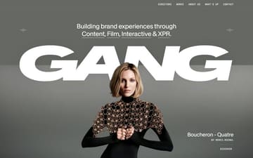 Gang website preview