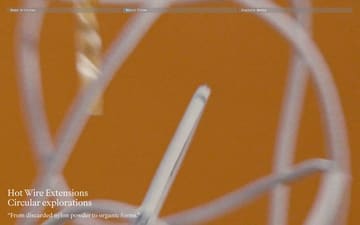 Profiler website preview