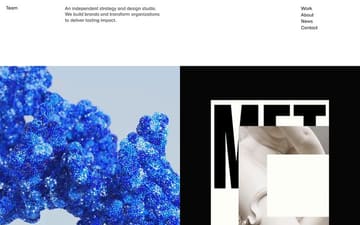 Team website preview