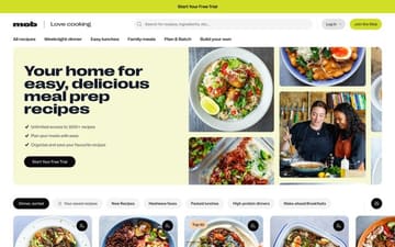 Mob website preview