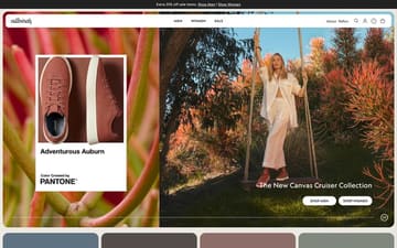 Allbirds website preview