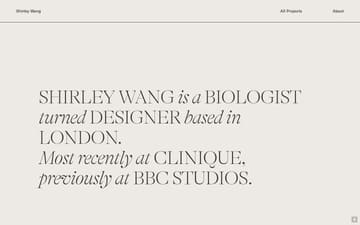 Shirley Wang website preview