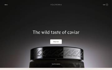 Volzhenka website preview