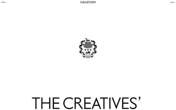 Collection website preview