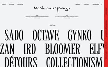 Nash and Young website preview