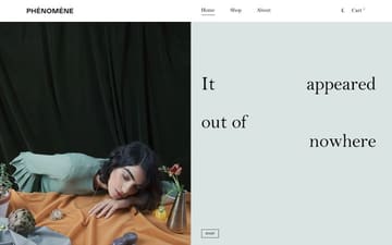 Phénomène website preview
