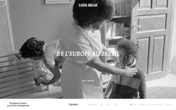 Fondation Cartier website preview