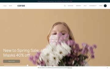 Caraa website preview