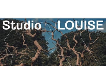 Studio Louise website preview