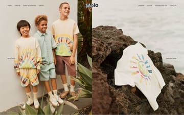 Molo website preview