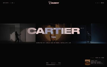 Casey website preview
