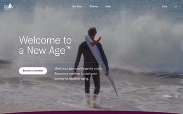 Tally Health website preview