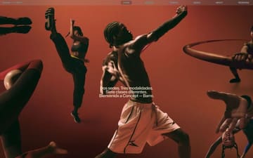 Concept Barre website preview