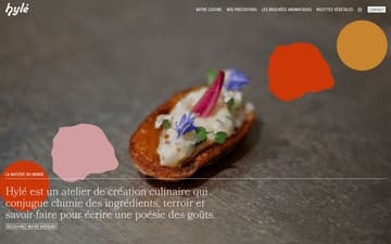 Hylé website preview