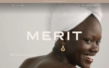 Merit website preview