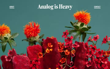 Analog is Heavy website preview