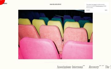 Ana Blagojevic website preview