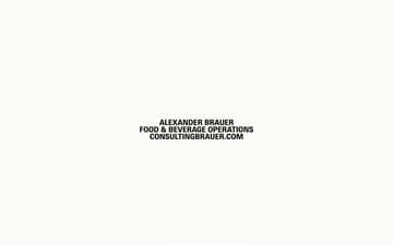 Consulting Brauer website preview