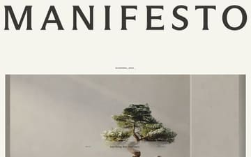 Manifesto website preview