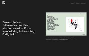 Ensemble website preview