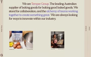 Temper Group website preview