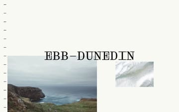 Ebb Dunedin website preview