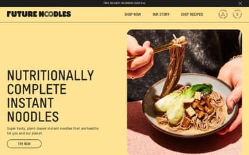 Future Noodles website preview
