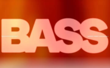 BASS website preview