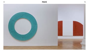 Pace Gallery website preview