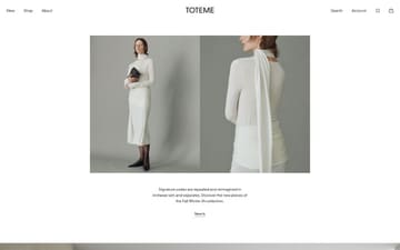 Toteme website preview