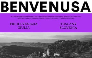 Benvenusa website preview