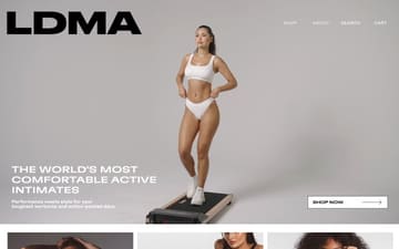 LDMA website preview